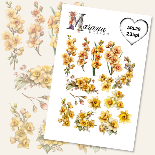 Leikekuvat | ARL28